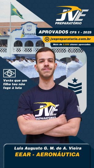 Luis-Augusto-G.-M.-de-A.-Vieira